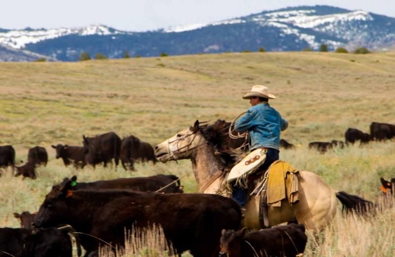 Fremont County WY Republican Party